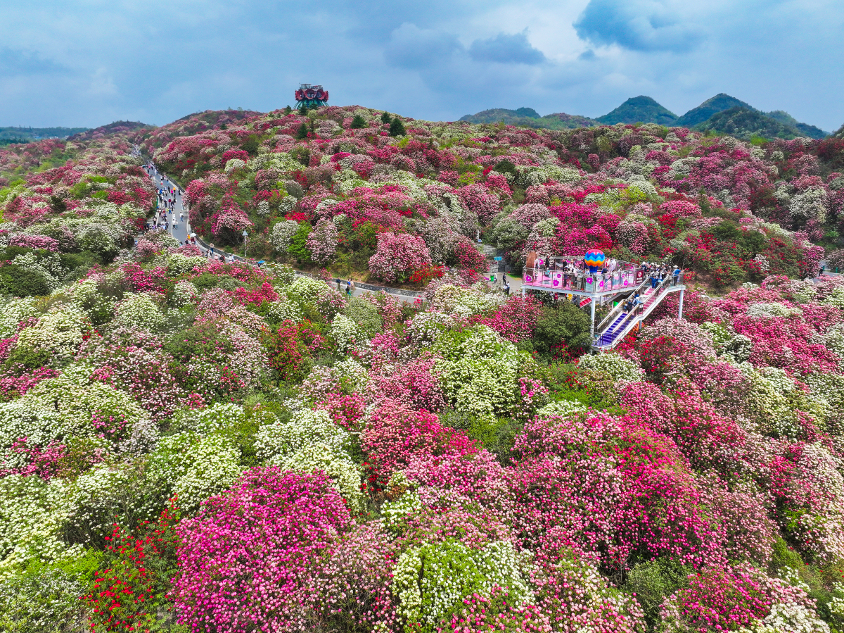 毕节旅游景点攻略自驾游-毕节旅游攻略景点必去