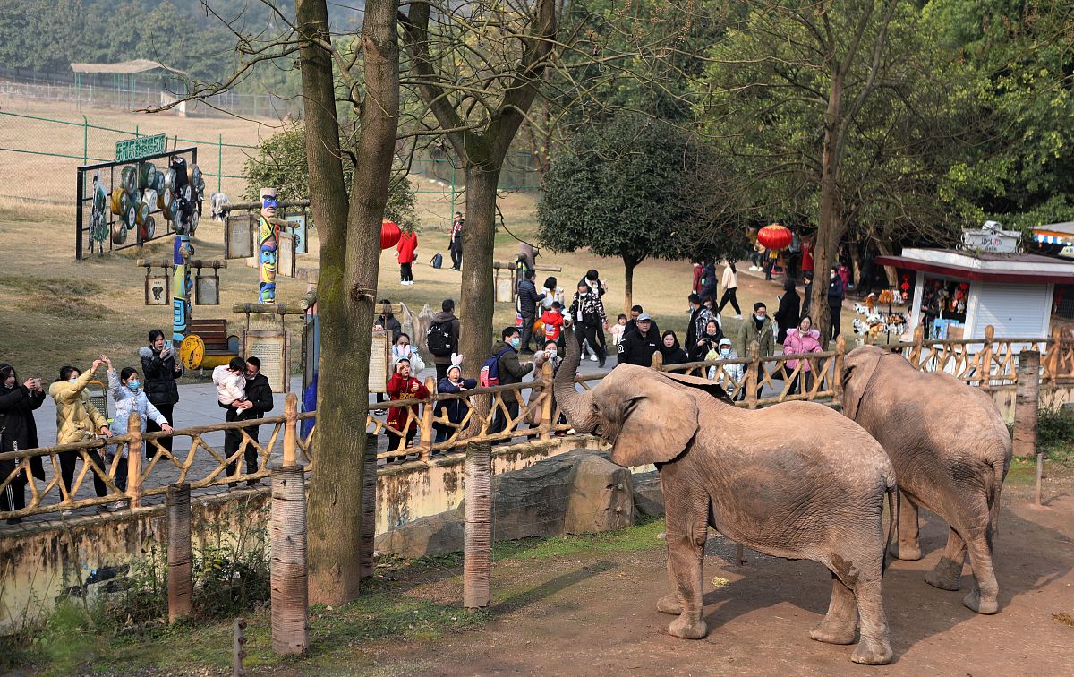 大连森林动物园：动物资源丰富、养护水平高、环境保护意识强