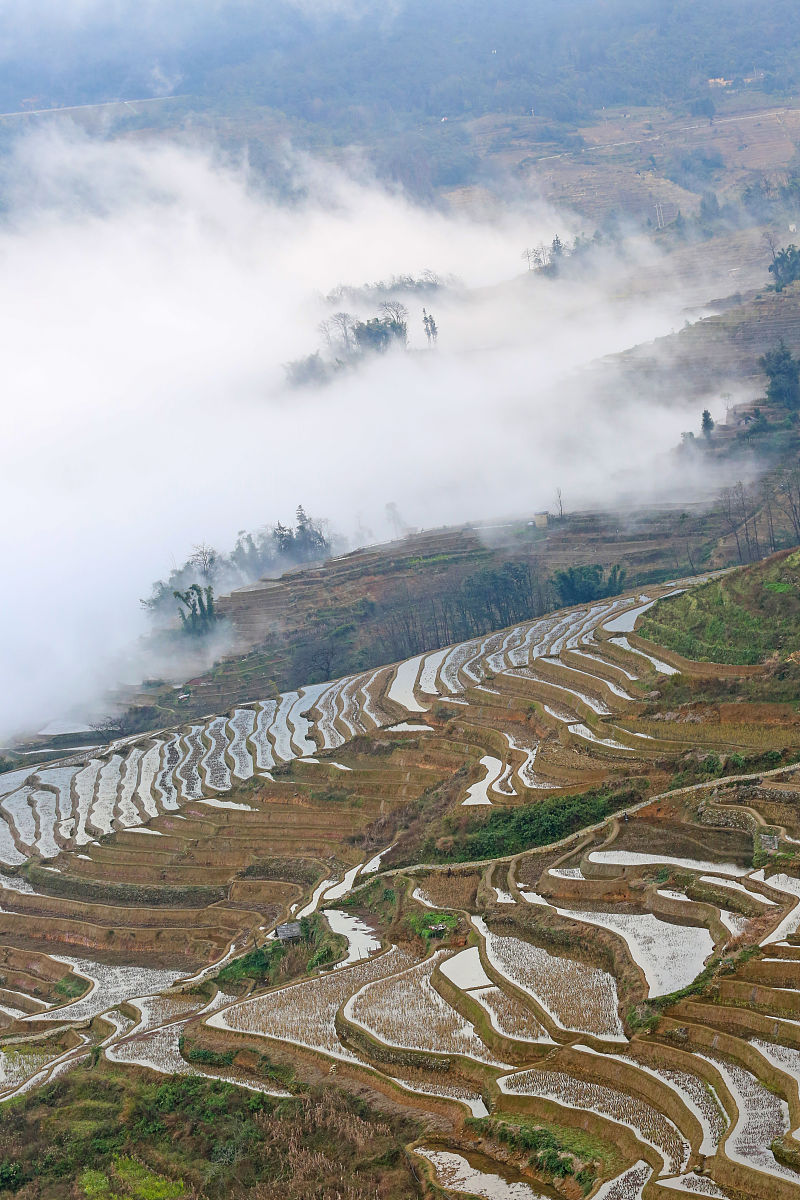 2022年云南卫校招生攻略：备战指南及考试技巧