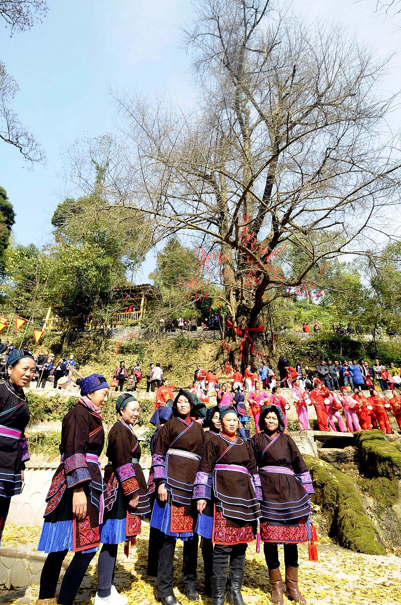 2017年12月9日,贵州省黔东南州麻江县仙坝村,畲族女子在古树下迎客.