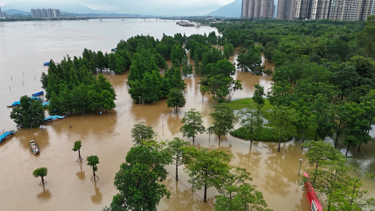 粤港澳大湾区增城区洪涝风险评估：脆弱性分析与应急能力提升