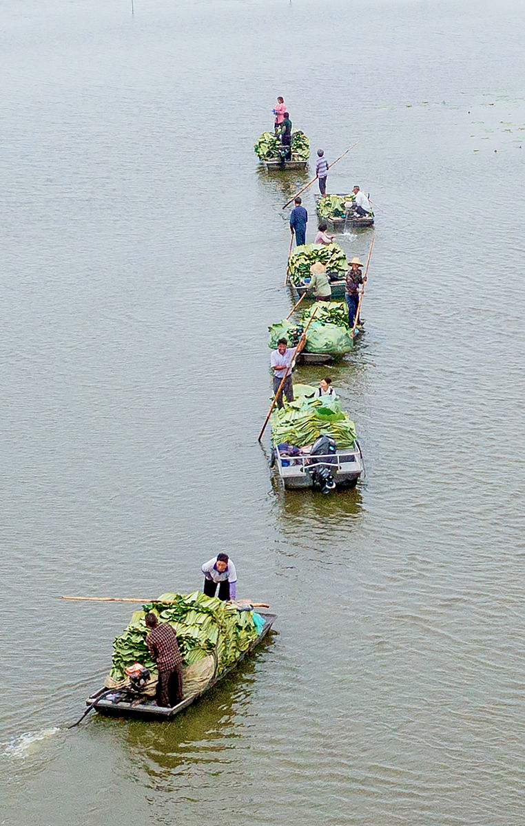 惠州电信流量包服务：购买方式、优惠活动及网络问题解决