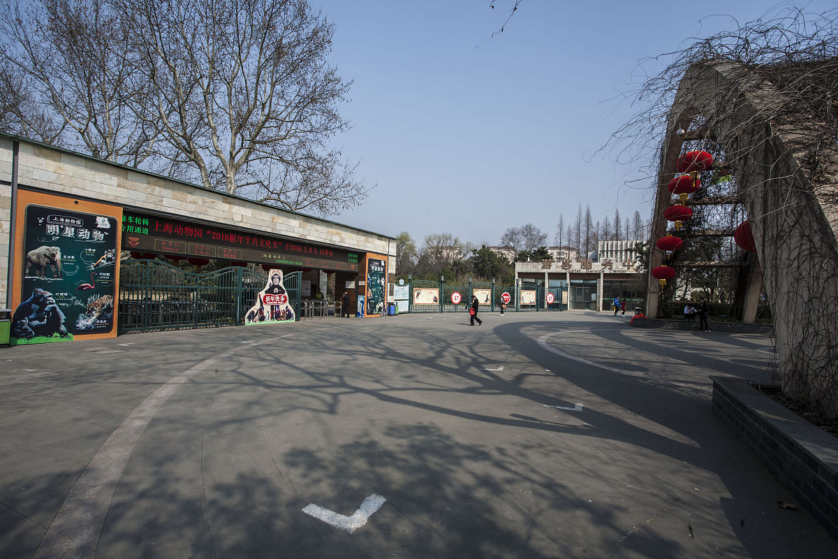 上海动物园位于上海市长宁区虹桥路2381号,紧邻上海虹桥国际机场.始建