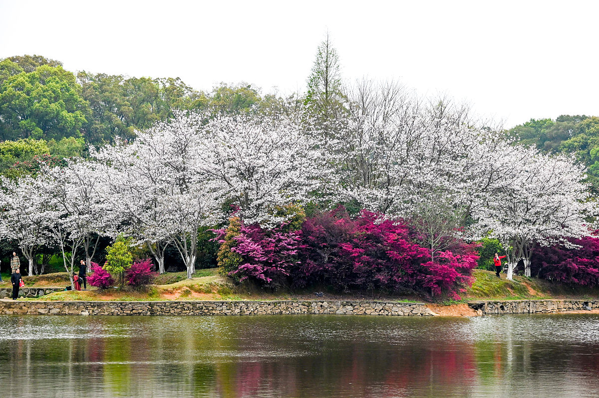 黑龙江林业职业技术学院物流管理专业专业到底行不行设有哪些课程