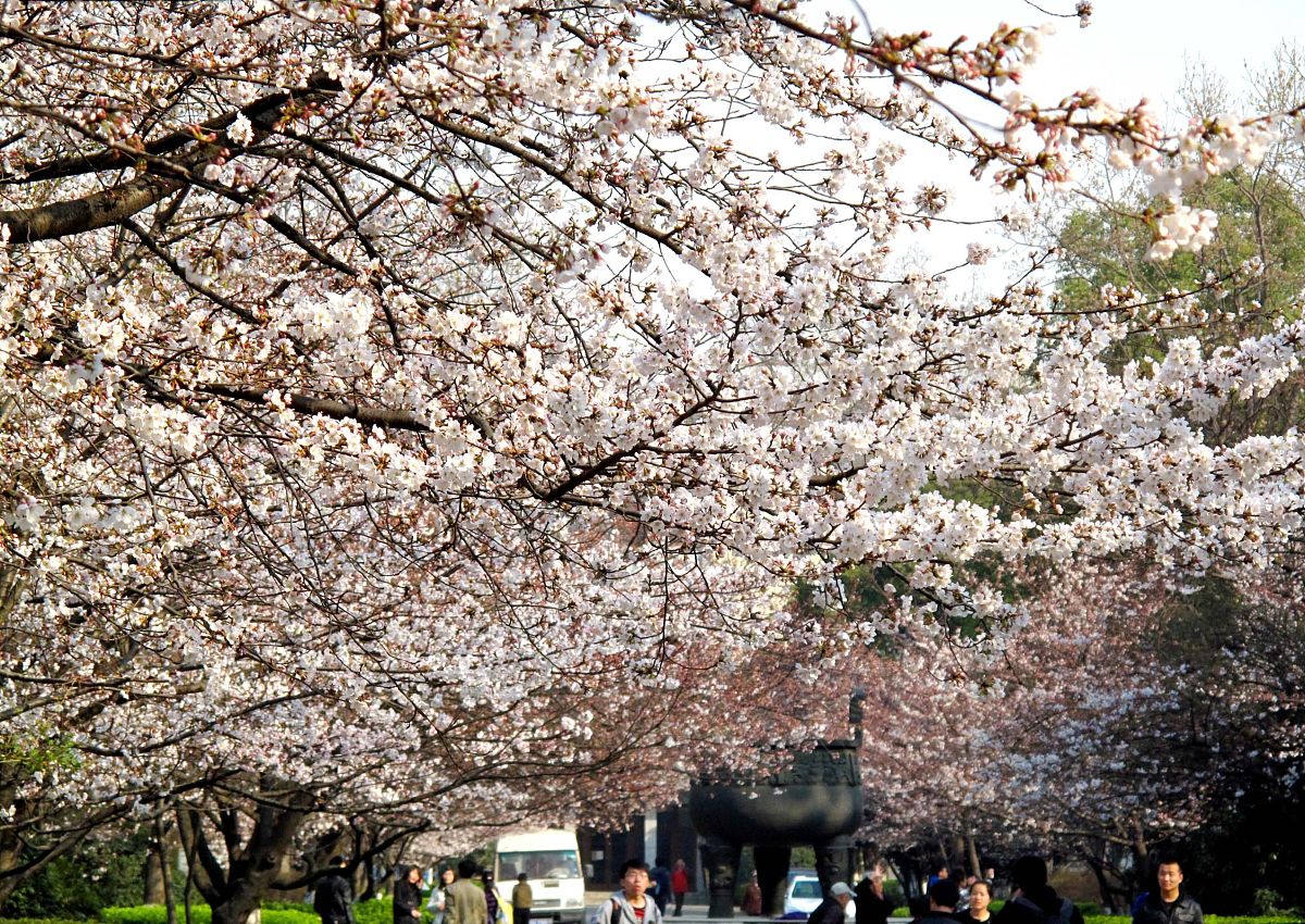 云南昆明林业技工学校2023年中专招生：常见问题解答