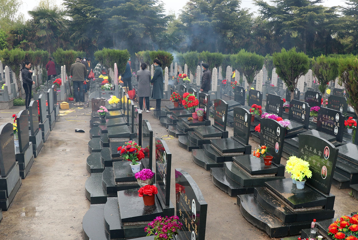 公墓管理：有序维护，服务优良