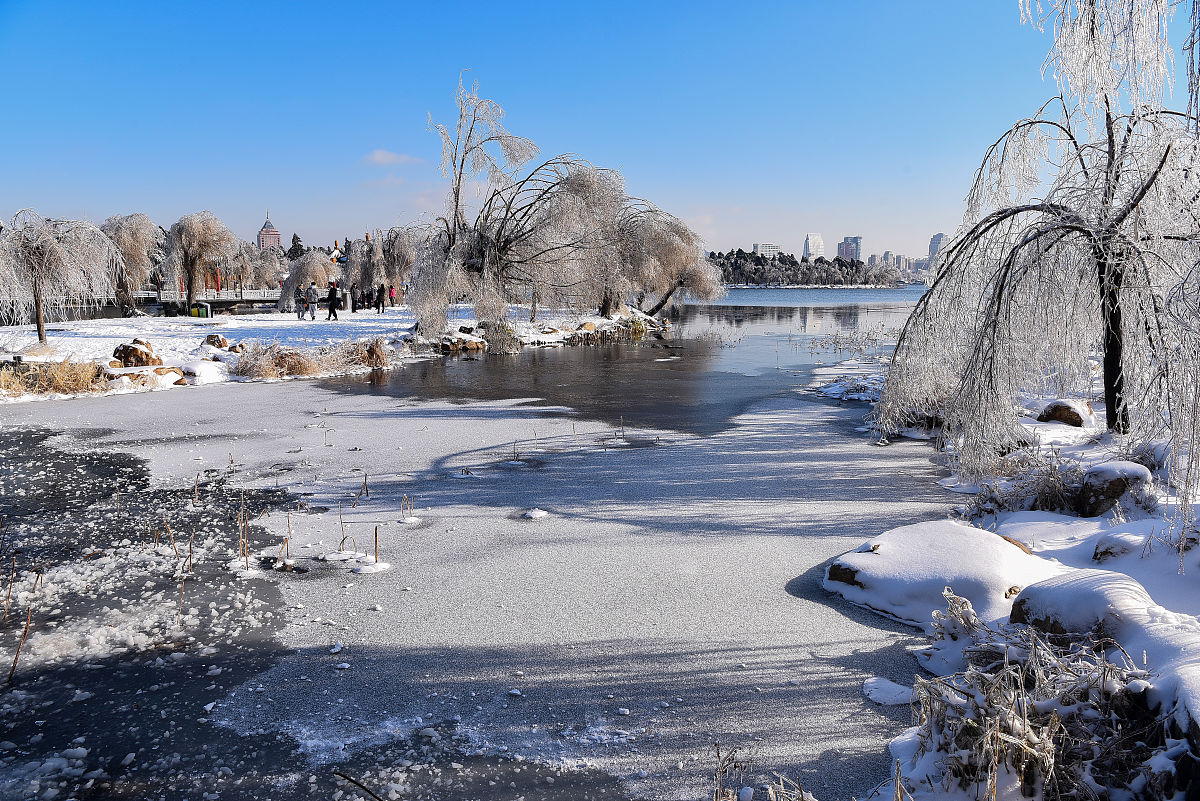 2020年11月20日,一场冻雨加大雪之后,长春整个城市变成水晶世界,南湖