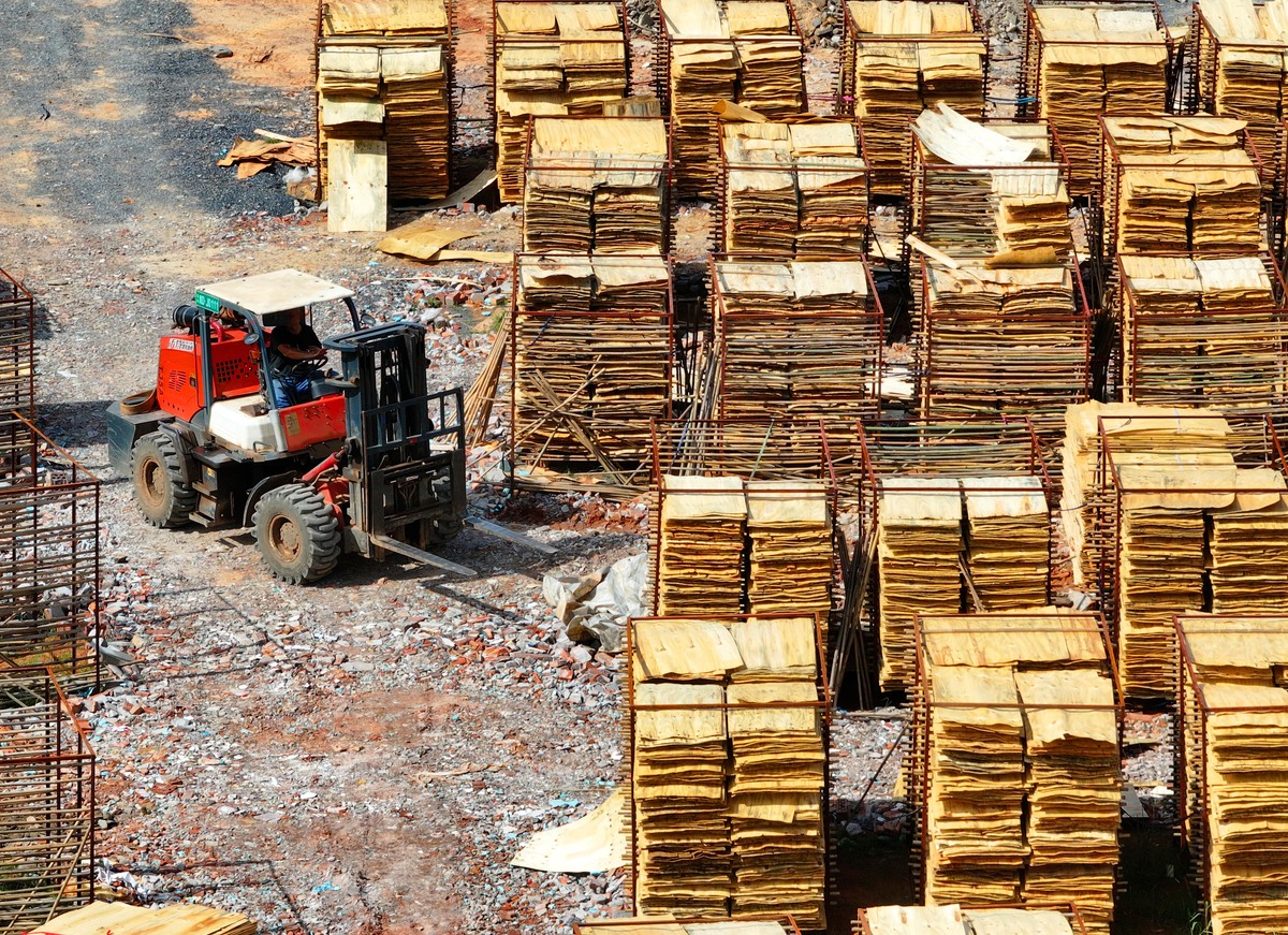 2023年报读木材加工技术专业就业前景好不好？