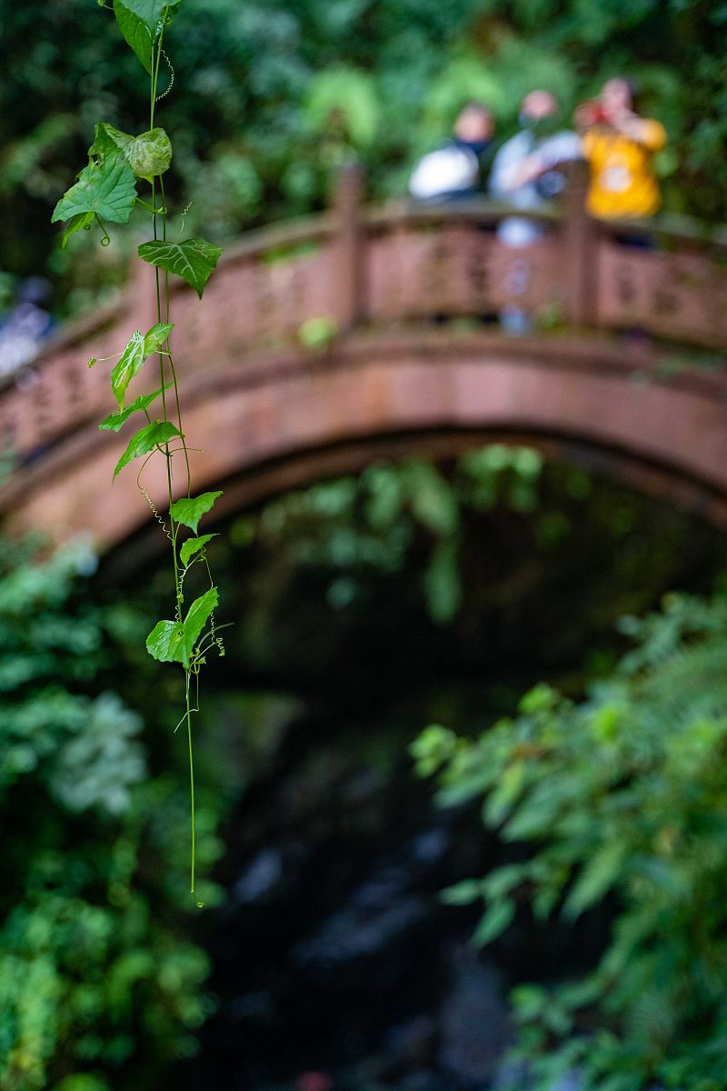 乐山广播电视大学2022年招生简章