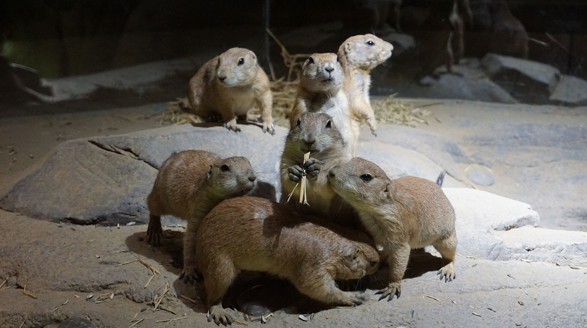 苏州新建学生宿舍楼表决：为学生提供更好的住宿环境
