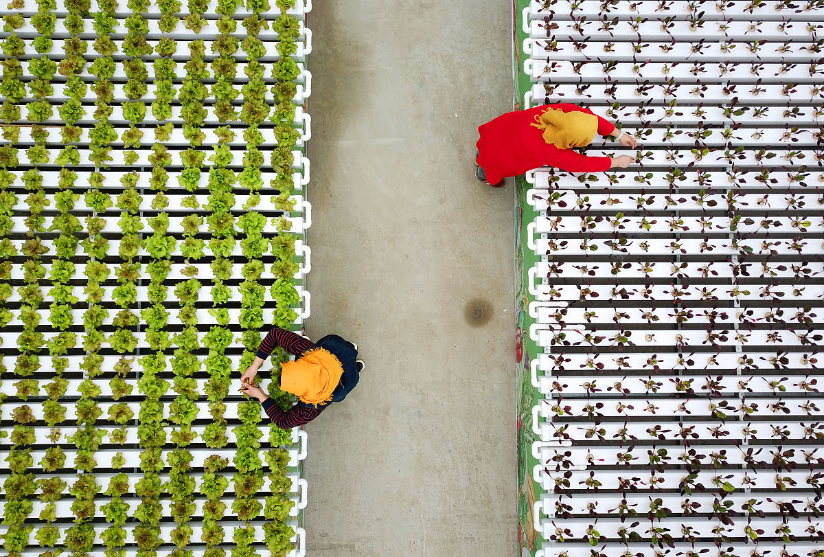 连云港市海州中等专业学校 所属那个地区