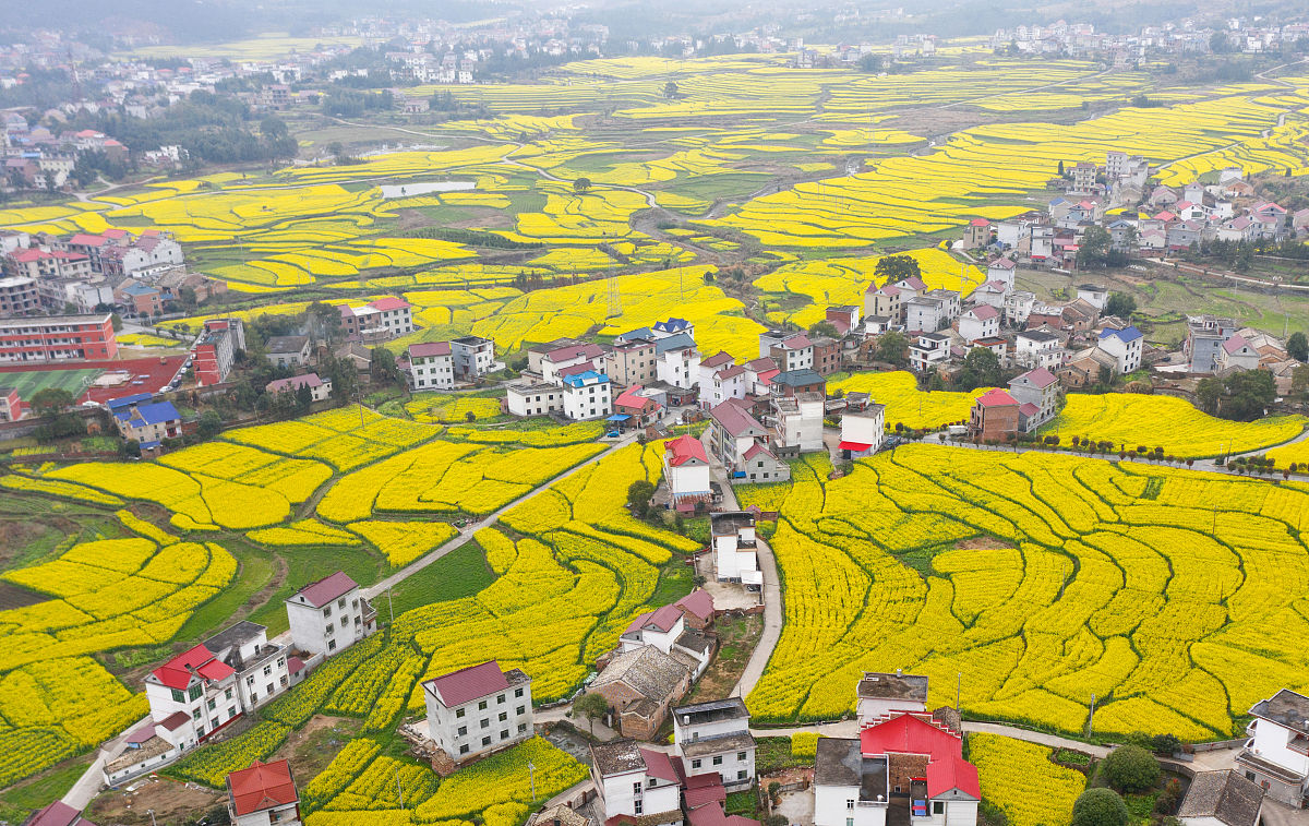 暑期社会实践结束团队成员在农村进行问卷调查写一份感想表达对乡土情感和对农民辛苦的理解