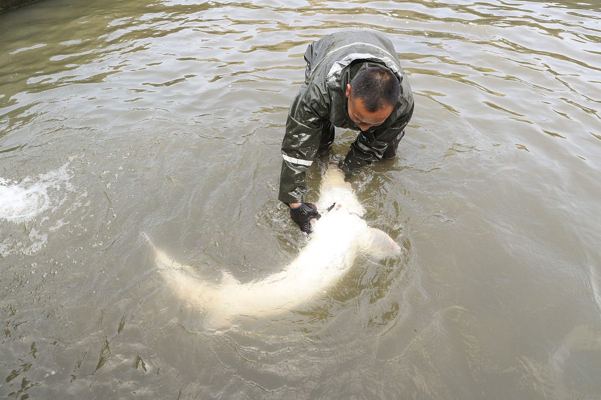 湖北生物科技职业学院水产养殖技术专业怎么样