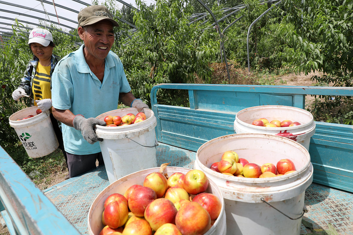 齐峰果业眉县水果产品营销策略优化研究——基于国外经验