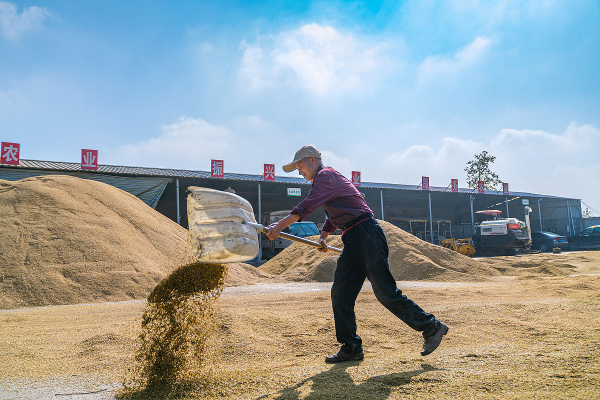 绵阳哪个中专学校就业好用发散