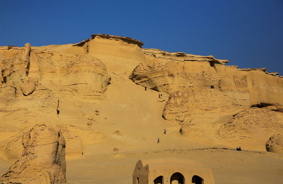 当地时间2019年3月12日,埃及法尤姆省"鲸鱼谷"(wadi el hitan),"鲸鱼
