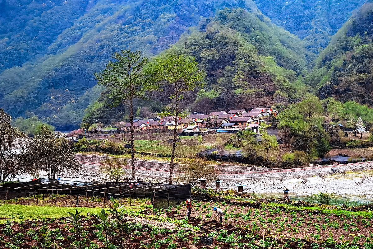 取村名带奇字：奇峰村，寓意独特，风景秀丽
