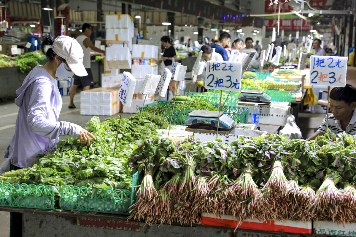 蔬菜是通过香港的蔬菜统营处从内地指定农场通过文锦渡口岸进入香港。大陆的蔬菜发香港大陆的蔬菜出口到香港只需要提供货物的基本情况；比如：货物的基本尺寸数量重量规格等；这些资料提供完毕之后就可以直接的进行中港往返运输。广东省北运菜数量大品种多如茄子辣椒和四季豆等是广东南菜北运的主要品种。广东蔬菜主产区茂名市每年冬种蔬菜播种面积达70多万亩其中70北运。帮我用200字详细描述