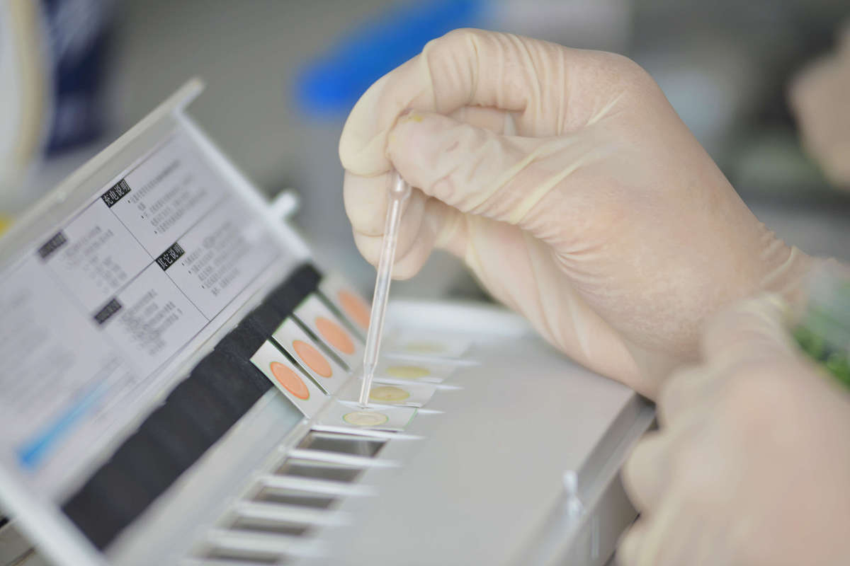 广西卫生职业技术学院食品营养与检测专业怎么样？ - 就业前景分析