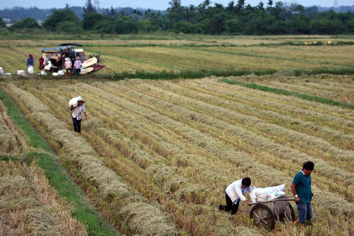 抢抓农时保丰收，全国农田奏响“奋斗曲”！