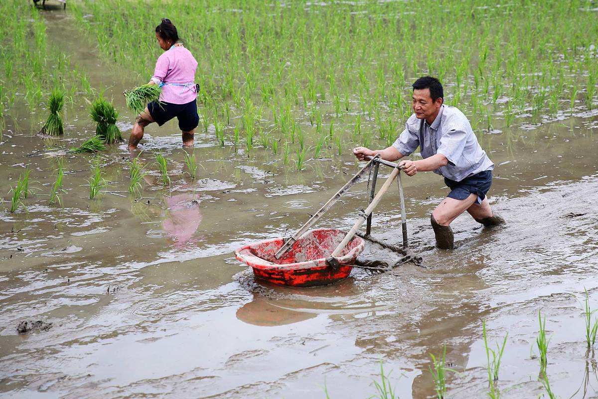 物体的浮与沉知识点