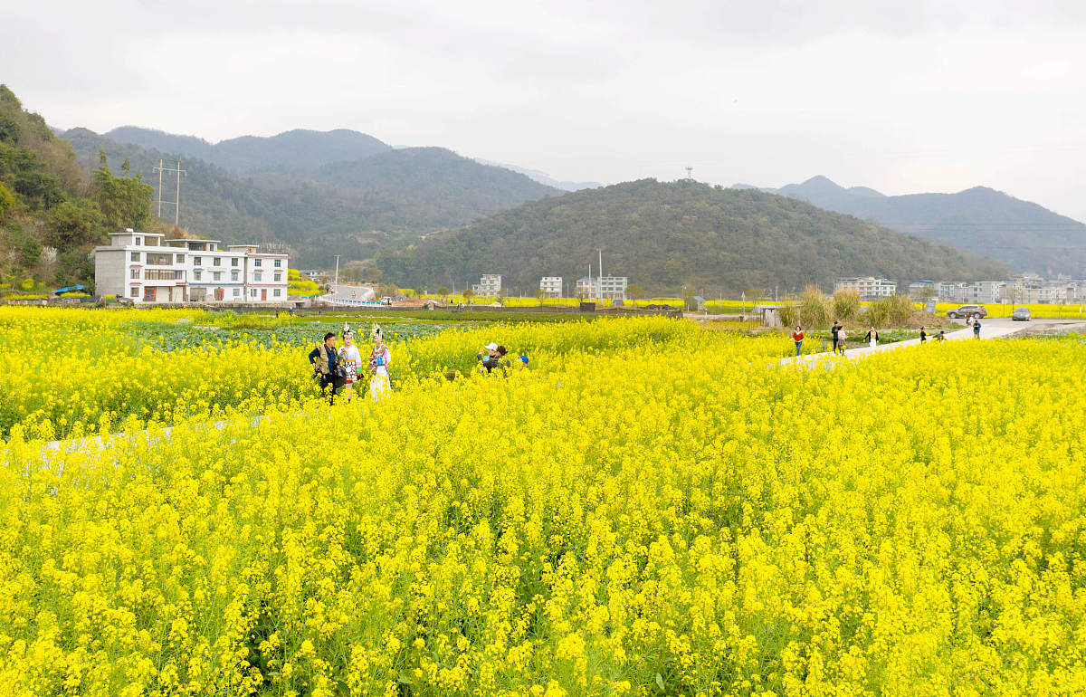 2019年贵阳卫校招生有哪些学校