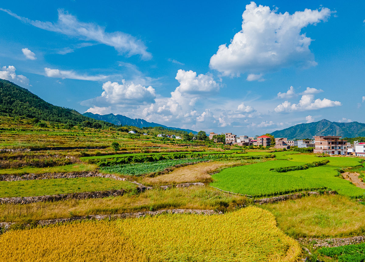 江西省于都县职业中等专业学校招生简章 - 专业选择攻略