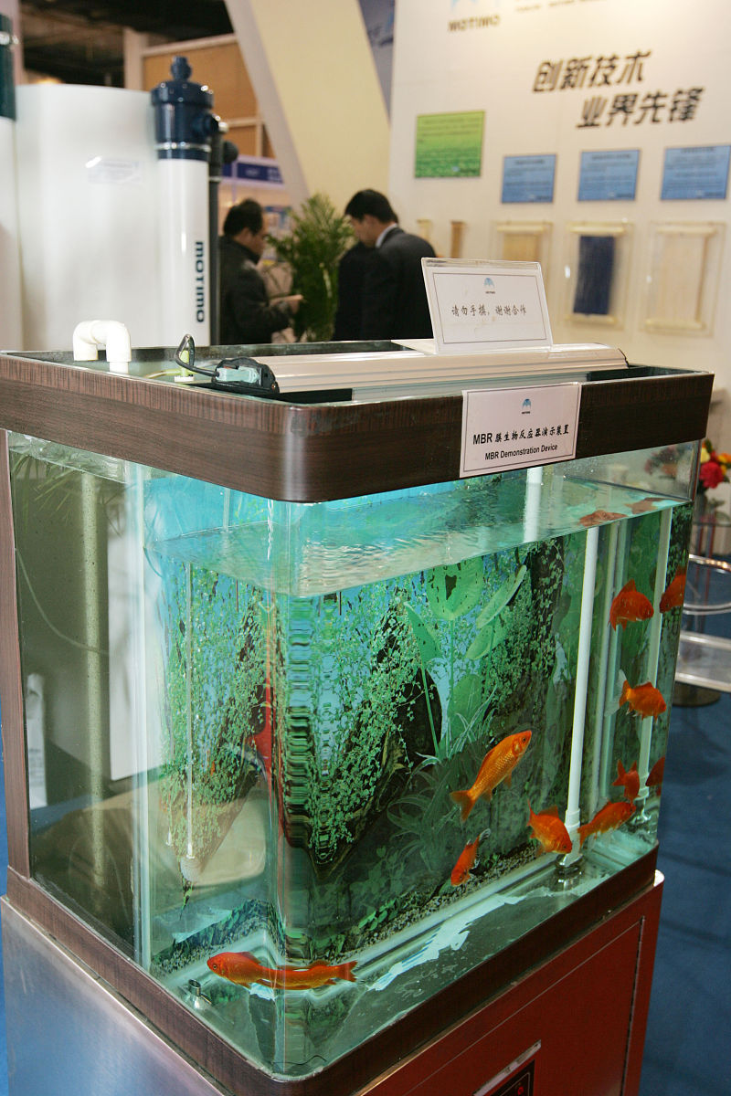 请对能够智能调节生态系统的鱼缸进行竞品分析