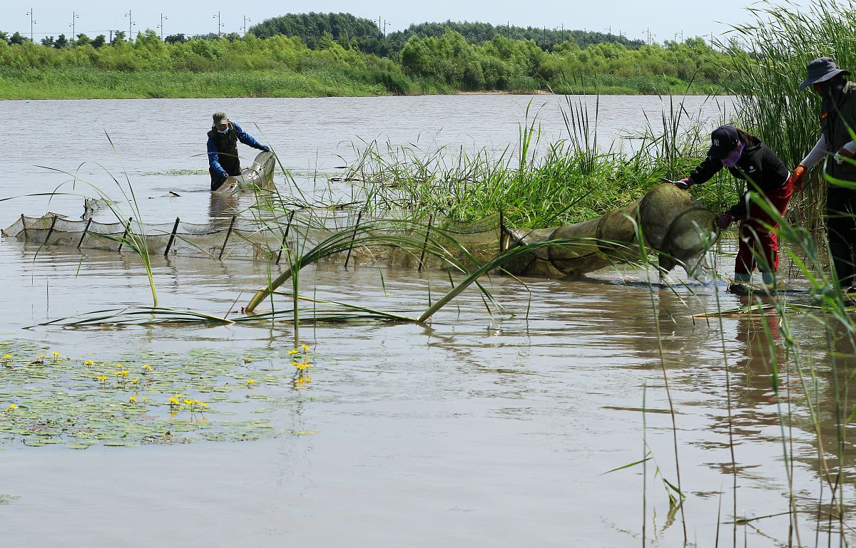 黑龙江农业经济职业学院物联网应用技术专业专业好不好发展前景怎样