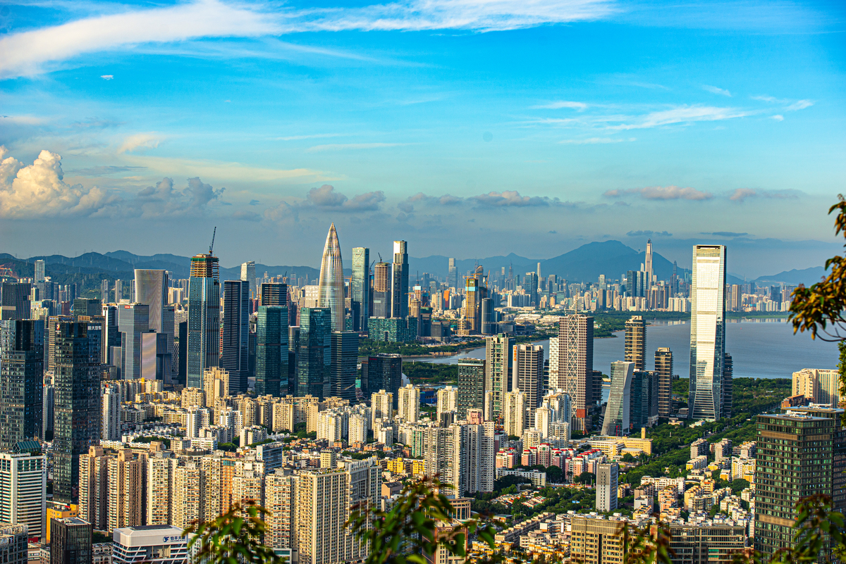 深圳：从内陆城市到国际化大都市的蜕变之旅