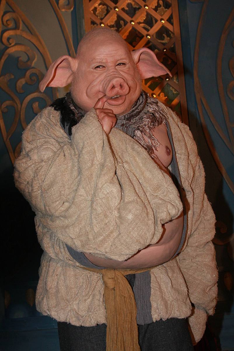 猪八戒怀孕看兽医还是看妇产科？