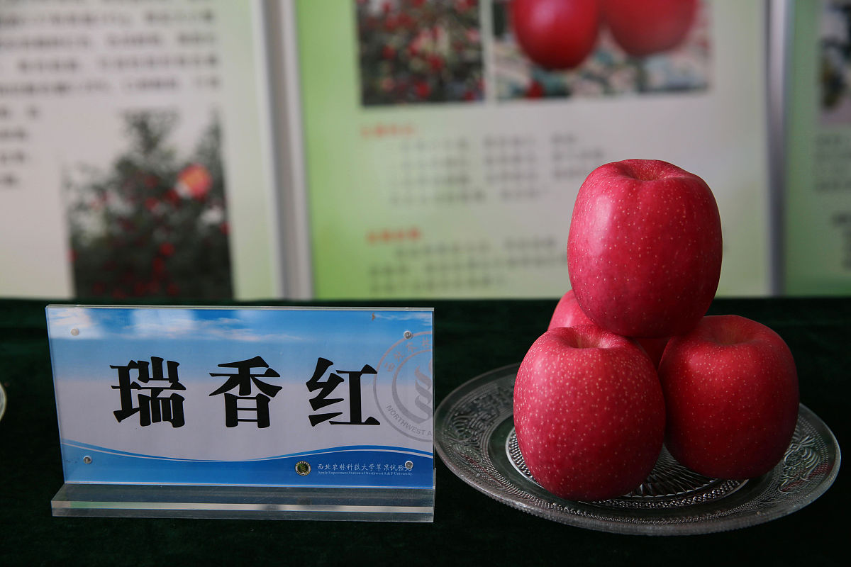 陕西工程科技高级技工学校工程测量专业怎么样