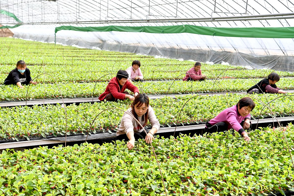 湖州现代农业技术学校 - 培养现代农业人才的摇篮