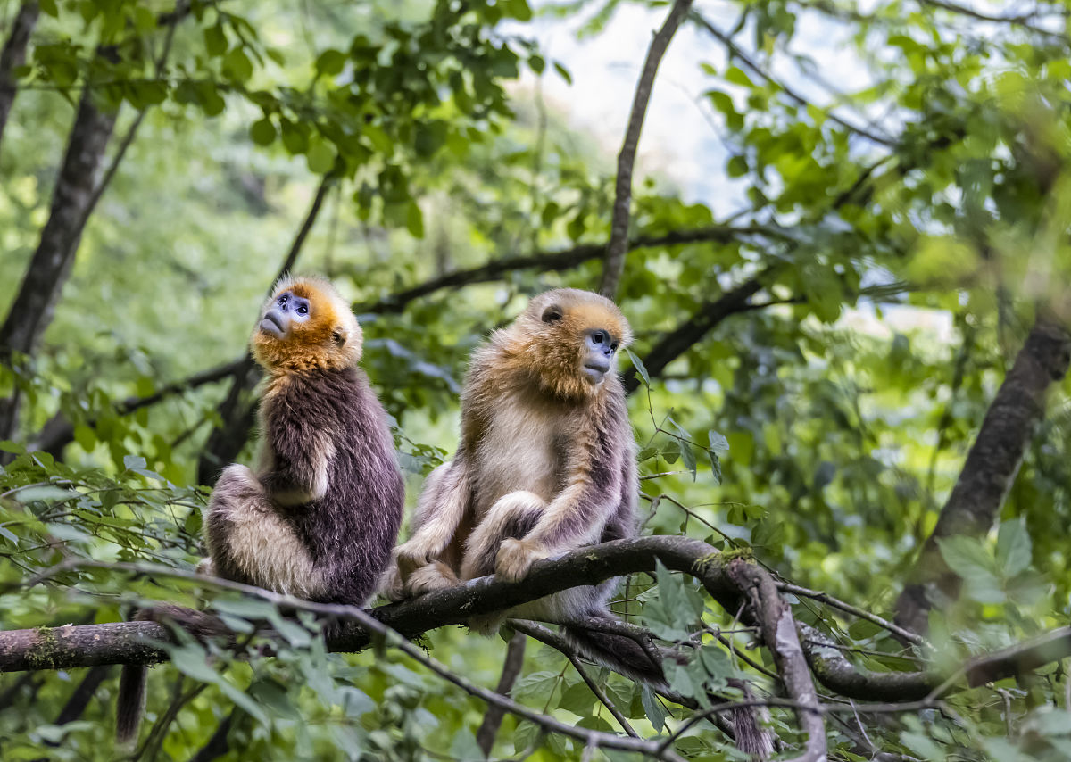 10个你可能不知道的有趣冷知识！