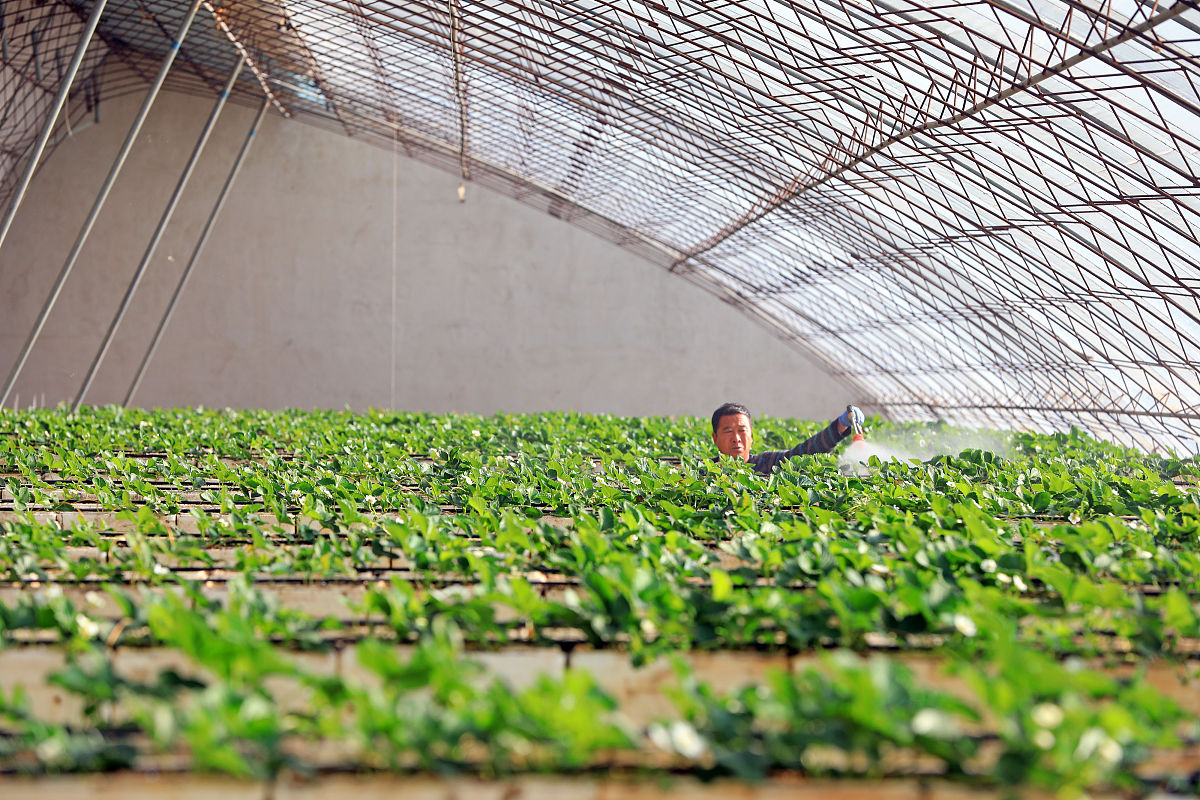 广谱性杀菌剂的发展前景