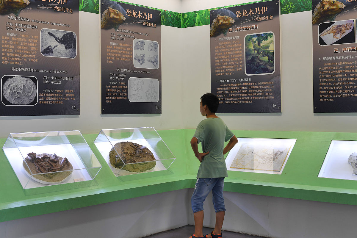 中文毕业论文题目是桐乡蚕桑文化传承与保护对策研究