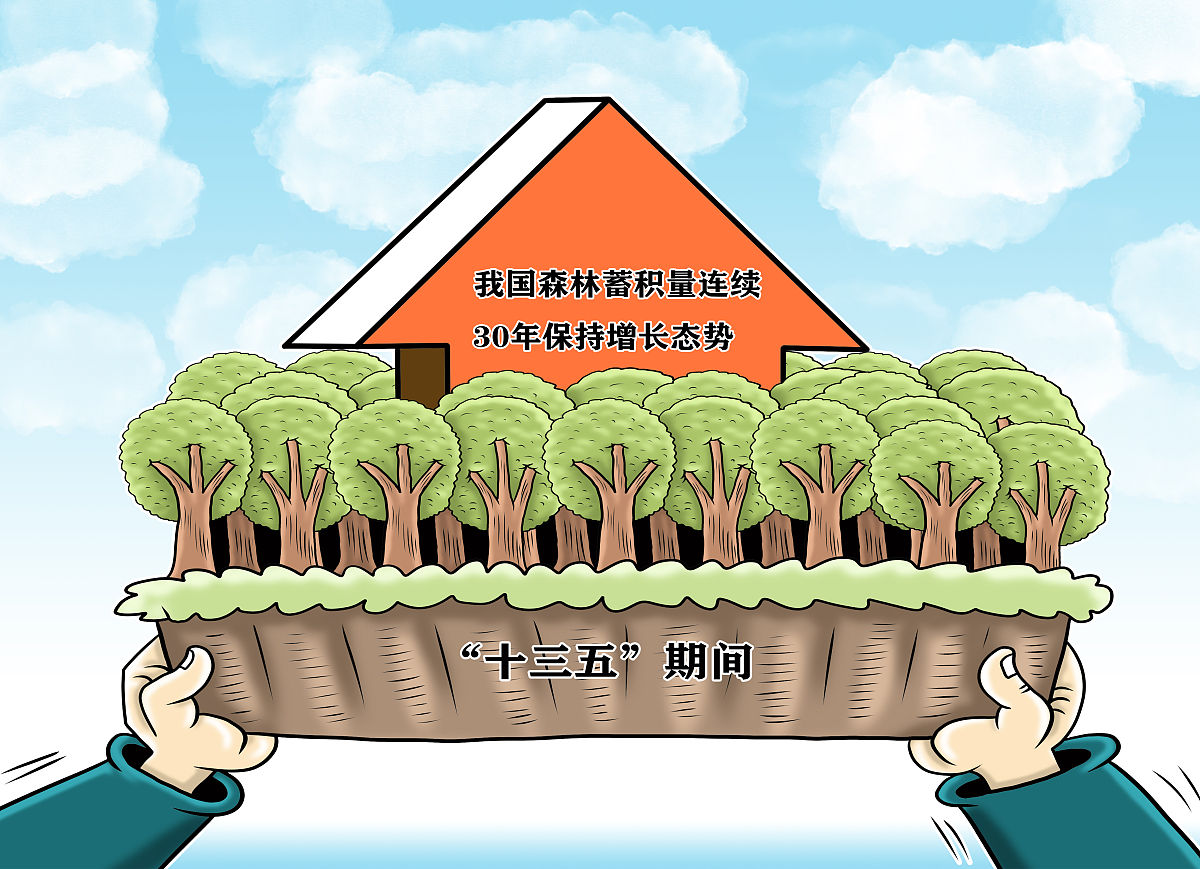 节能减排和发展绿色经济是国家一项重大战略规划。习近平总书记说 绿水青山就是金山银山。环境的保护对国民经济的发展有着重要意义。随着 工业化进程的加快环境保护方面的问题已经刻不容缓。 附件中提供了一些经济与环境方面的数据供参考包括 GDP、二氧化碳排 放量、能源使用量、农业用地和森林面积等方面。近年来随着全球范围内的植 被破坏森林面积逐渐减少而工业发展又增加了碳排放量。对比全球趋势中国的植被面积正在逐