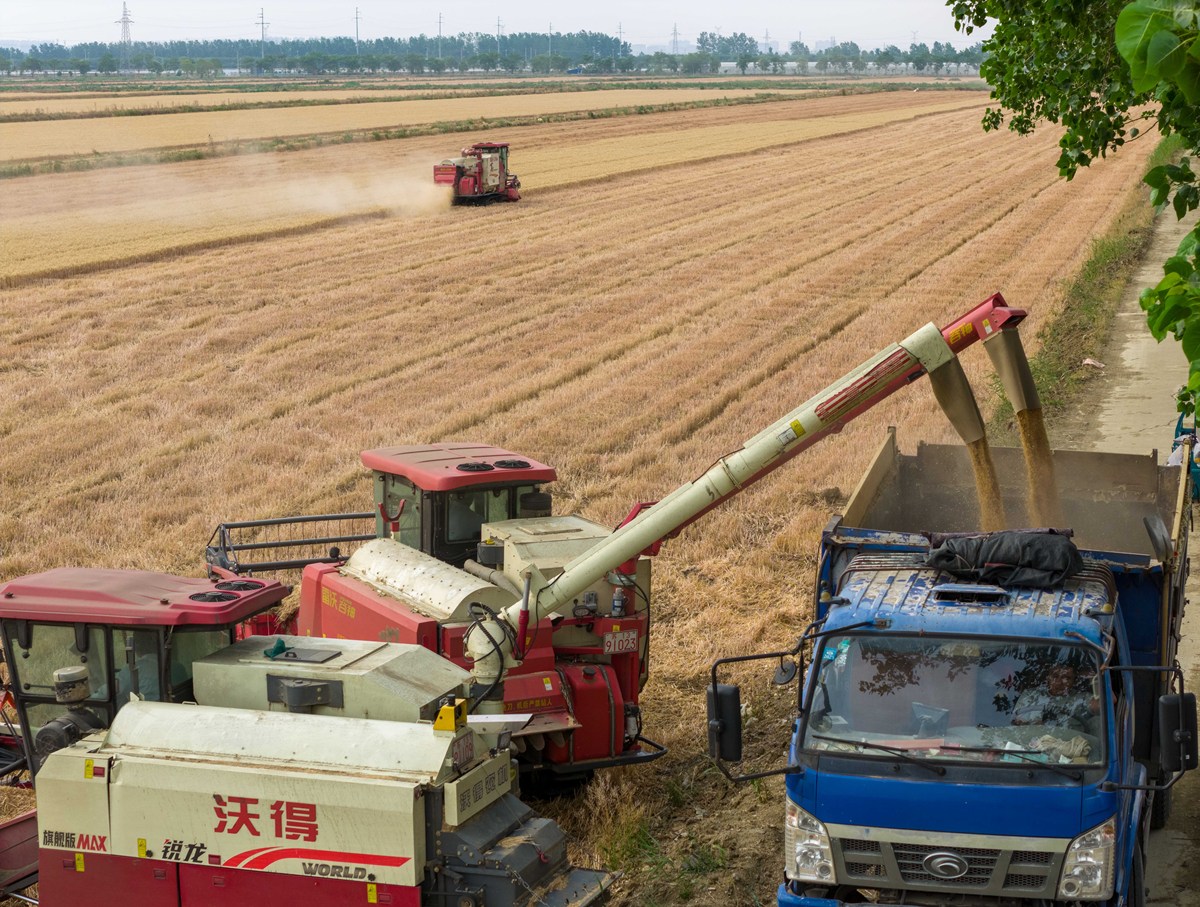 请帮我写个文档报告类型：创新创意论文报告主题：自动收甘蔗机报告中需要提到自动收甘蔗机的原理工作步骤市场环境。字数要求不低于：4500字