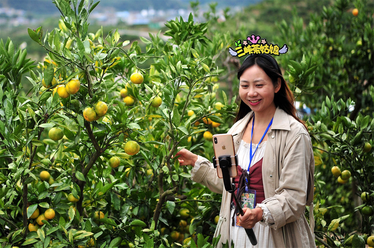 梦幻西游游戏主播招募