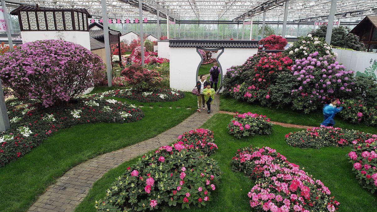 重庆园林技工学校园林设计与花卉毕业后是什么学历