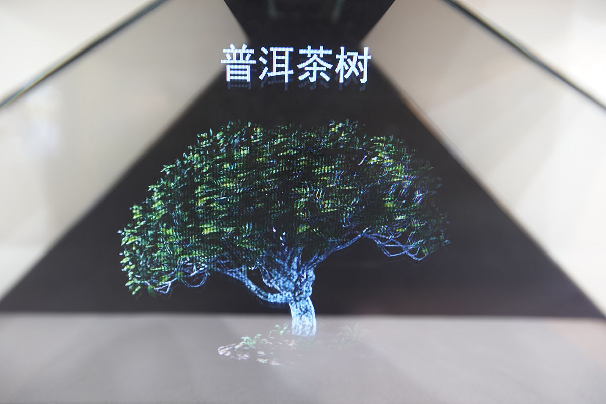 2021年10月14日,昆明,《生物多样性公约》第十五次缔约方大会(cop15)