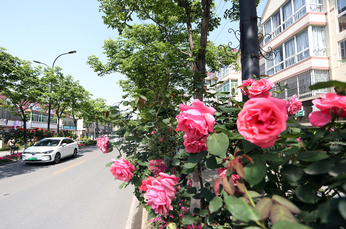 嘉善中等专业学校2023年报名咨询电话-好不好