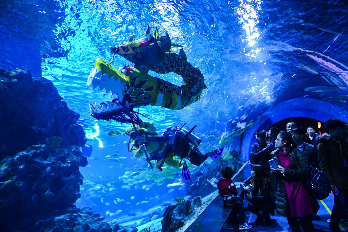 龙宫：海底的神秘宫殿，美轮美奂的景色