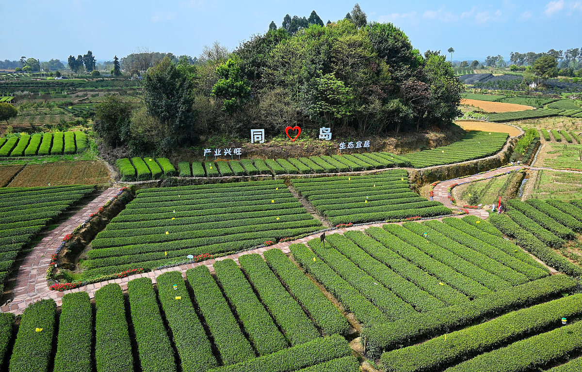 成都2022年计算机学校好还是职高好