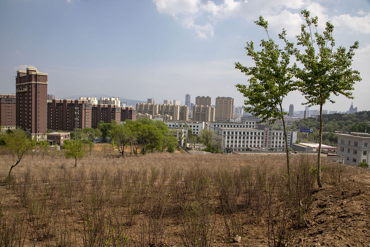 商丘市人民公园绿地违建办公楼：多次叫停后，规划变更能否合法？