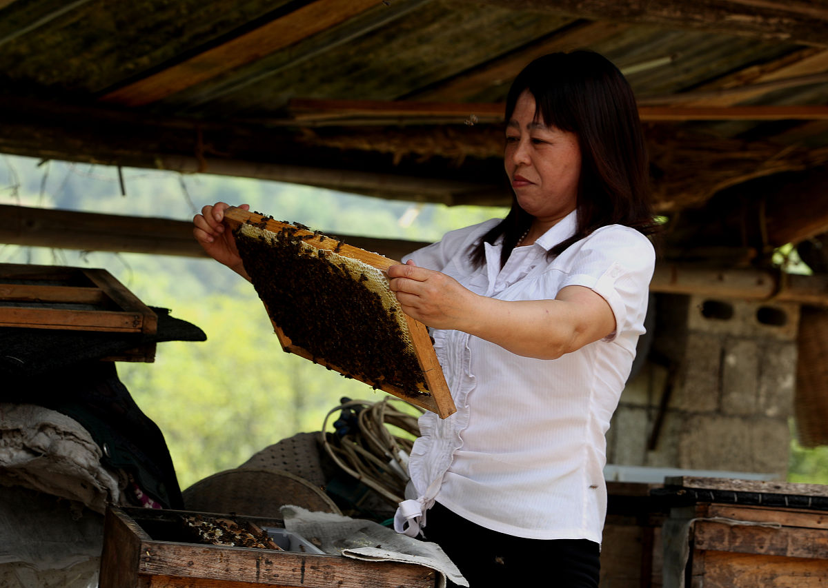 0.2g 土壤定容 50ml 后，如何计算卡值？