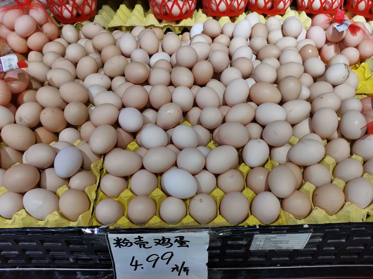养殖业如何解决鸡蛋壳质量差和破损蛋的问题？1 饲料调配：合理调配饲料中的钙、磷、维生素D等营养成分以提高蛋壳强度和质量。2 环境控制：保持适宜的温度、湿度和通风避免过度拥挤和压力过大减少鸡蛋破损的继续