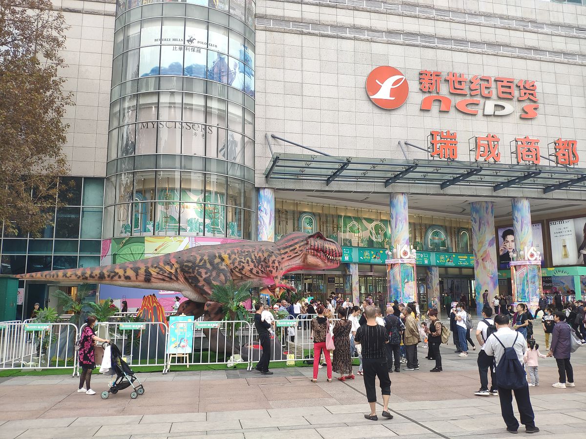 2021年5月28日,在重庆市九龙坡区杨家坪步行街一家大型商场门前现一只
