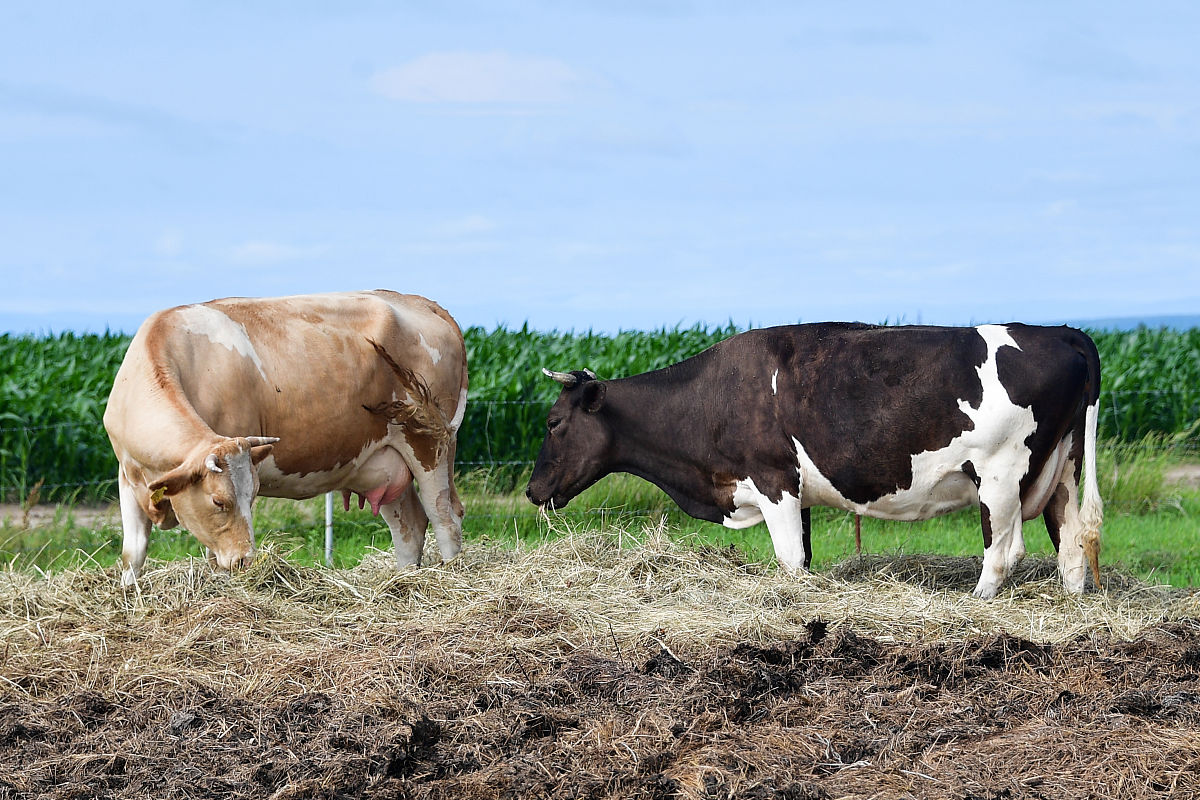 临夏农业学校2022年有哪些招生专业