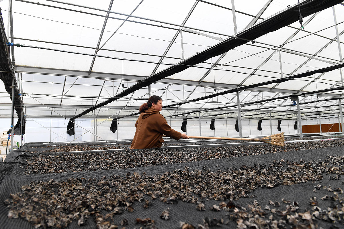 仁怀中等职业学校2019年招生简章 | 报名电话 | 专业介绍